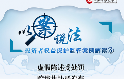 以案说法：虚伪陈述受处罚-跨境法律严查究