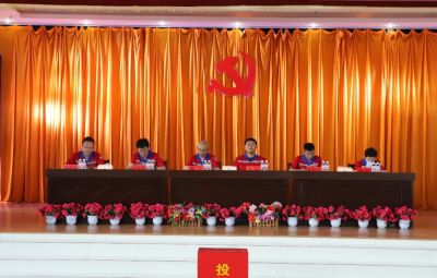 东升国际官网党委换届选举党员大会成功召开